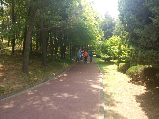 水原オリンピック公園の散策路